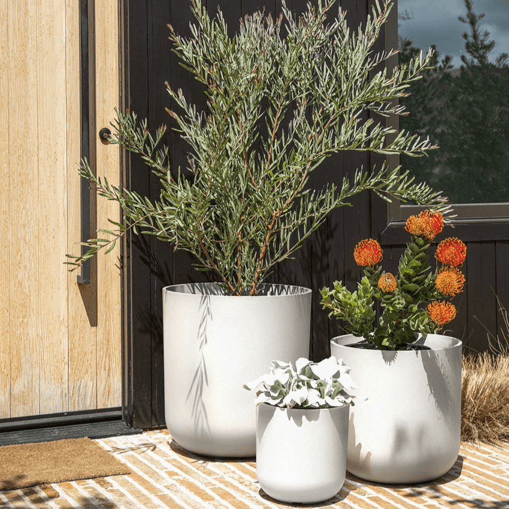 mason-kona-planter-collection-1378116